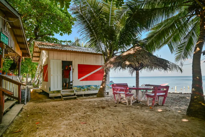 Banana Nut dive shop