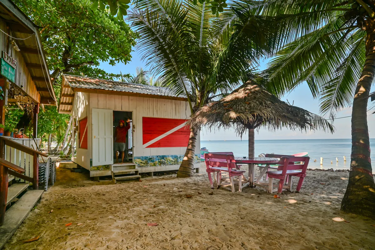 Banana Nut Burgers Dive Shop